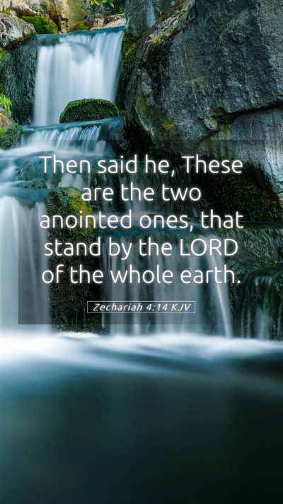 Picture 05 - Zechariah 4:14 KJV Mobile Phone Wallpaper - Then said he, These are the two anointed ones, - Mobile Bible Verse Wallpaper