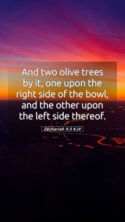Picture 05 - Zechariah 4:3 KJV Mobile Phone Wallpaper - And two olive trees by it, one upon the right - Mobile Bible Verse Wallpaper