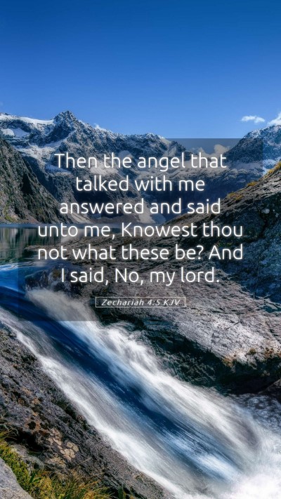 Picture 05 - Zechariah 4:5 KJV Mobile Phone Wallpaper - Then the angel that talked with me answered and - Mobile Bible Verse Wallpaper