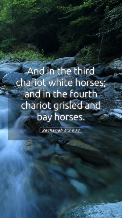Picture 05 - Zechariah 6:3 KJV Mobile Phone Wallpaper - And in the third chariot white horses; and in the - Mobile Bible Verse Wallpaper