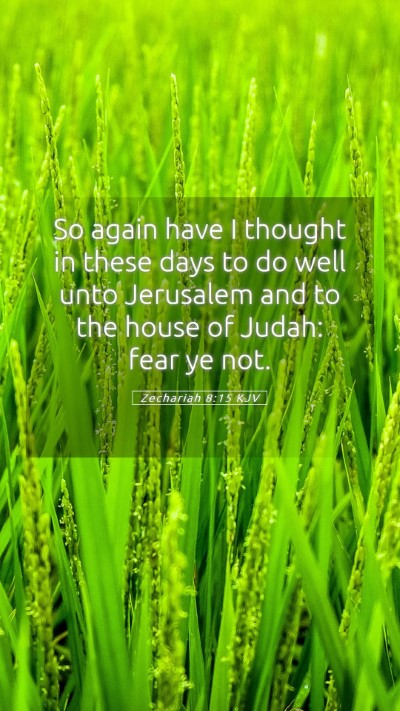 Picture 05 - Zechariah 8:15 KJV Mobile Phone Wallpaper - So again have I thought in these days to do well - Mobile Bible Verse Wallpaper