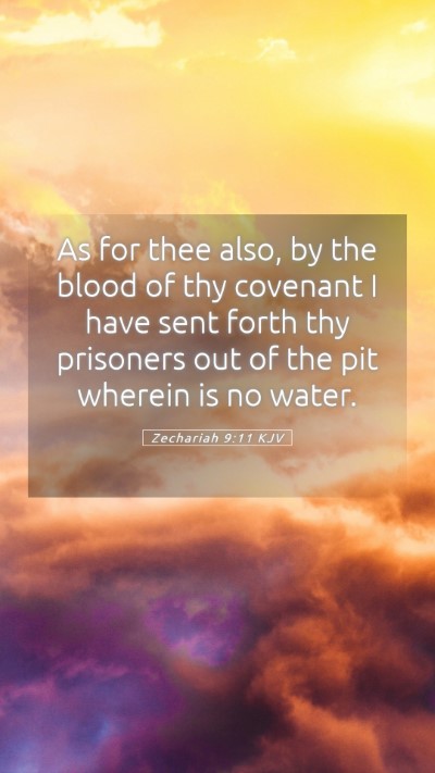Picture 05 - Zechariah 9:11 KJV Mobile Phone Wallpaper - As for thee also, by the blood of thy covenant I - Mobile Bible Verse Wallpaper