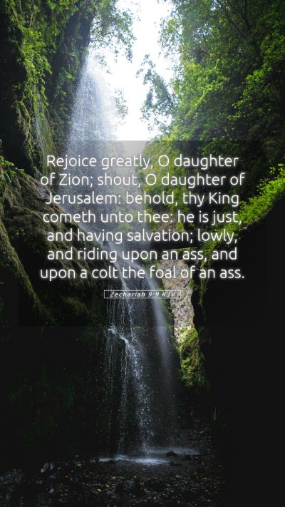 Picture 05 - Zechariah 9:9 KJV Mobile Phone Wallpaper - Rejoice greatly, O daughter of Zion; shout, O - Mobile Bible Verse Wallpaper