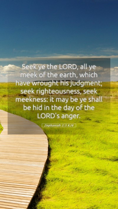 Picture 05 - Zephaniah 2:3 KJV Mobile Phone Wallpaper - Seek ye the LORD, all ye meek of the earth, which - Mobile Bible Verse Wallpaper