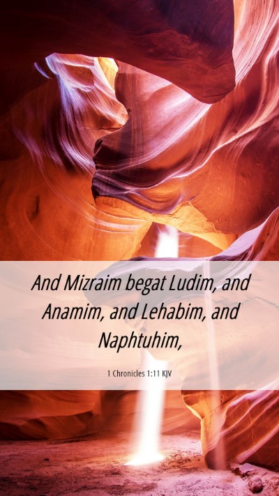 Picture 06 - 1 Chronicles 1:11 KJV Mobile Phone Wallpaper - And Mizraim begat Ludim, and Anamim, and Lehabim, - Mobile Bible Verse Wallpaper
