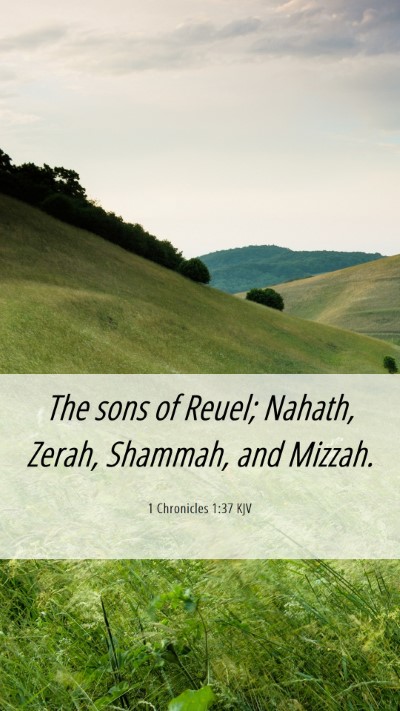 Picture 06 - 1 Chronicles 1:37 KJV Mobile Phone Wallpaper - The sons of Reuel; Nahath, Zerah, Shammah, and - Mobile Bible Verse Wallpaper