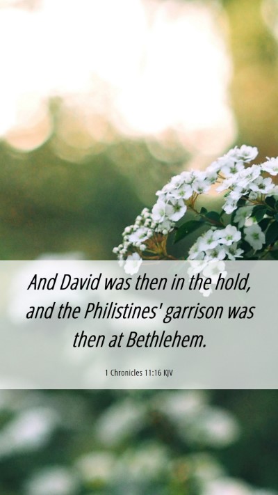 Picture 06 - 1 Chronicles 11:16 KJV Mobile Phone Wallpaper - And David was then in the hold, and the - Mobile Bible Verse Wallpaper