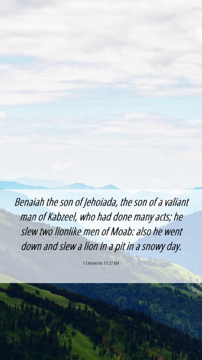 Picture 06 - 1 Chronicles 11:22 KJV Mobile Phone Wallpaper - Benaiah the son of Jehoiada, the son of a valiant - Mobile Bible Verse Wallpaper