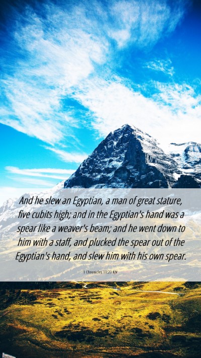 Picture 06 - 1 Chronicles 11:23 KJV Mobile Phone Wallpaper - And he slew an Egyptian, a man of great stature, - Mobile Bible Verse Wallpaper
