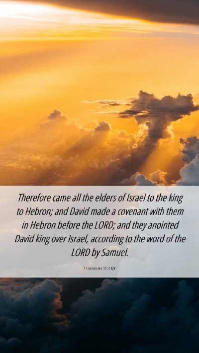 Picture 06 - 1 Chronicles 11:3 KJV Mobile Phone Wallpaper - Therefore came all the elders of Israel to the - Mobile Bible Verse Wallpaper