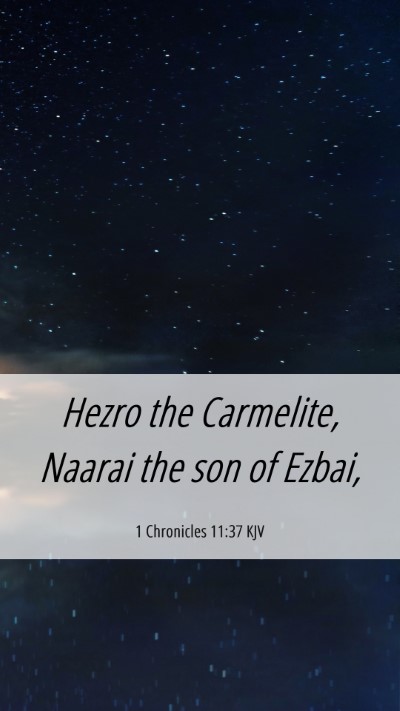 Picture 06 - 1 Chronicles 11:37 KJV Mobile Phone Wallpaper - Hezro the Carmelite, Naarai the son of - Mobile Bible Verse Wallpaper