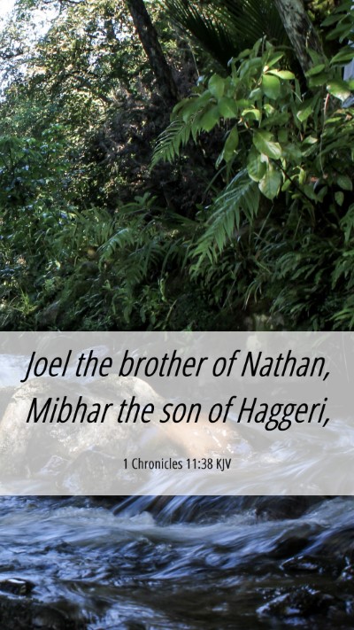 Picture 06 - 1 Chronicles 11:38 KJV Mobile Phone Wallpaper - Joel the brother of Nathan, Mibhar the son of - Mobile Bible Verse Wallpaper