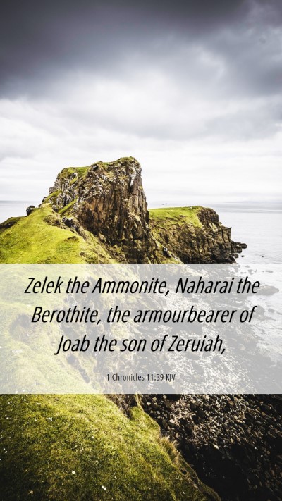 Picture 06 - 1 Chronicles 11:39 KJV Mobile Phone Wallpaper - Zelek the Ammonite, Naharai the Berothite, the - Mobile Bible Verse Wallpaper