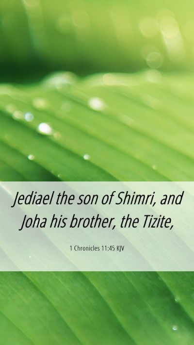 Picture 06 - 1 Chronicles 11:45 KJV Mobile Phone Wallpaper - Jediael the son of Shimri, and Joha his brother, - Mobile Bible Verse Wallpaper