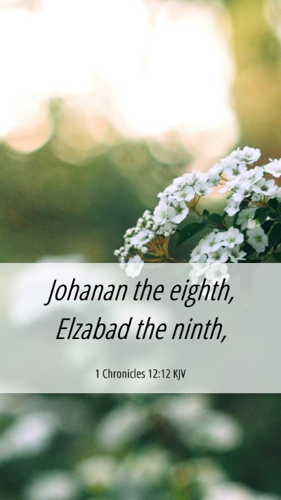 Picture 06 - 1 Chronicles 12:12 KJV Mobile Phone Wallpaper - Johanan the eighth, Elzabad the - Mobile Bible Verse Wallpaper