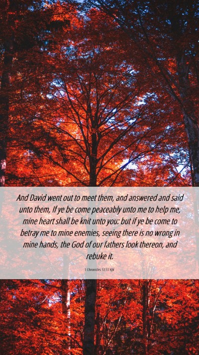 Picture 06 - 1 Chronicles 12:17 KJV Mobile Phone Wallpaper - And David went out to meet them, and answered and - Mobile Bible Verse Wallpaper