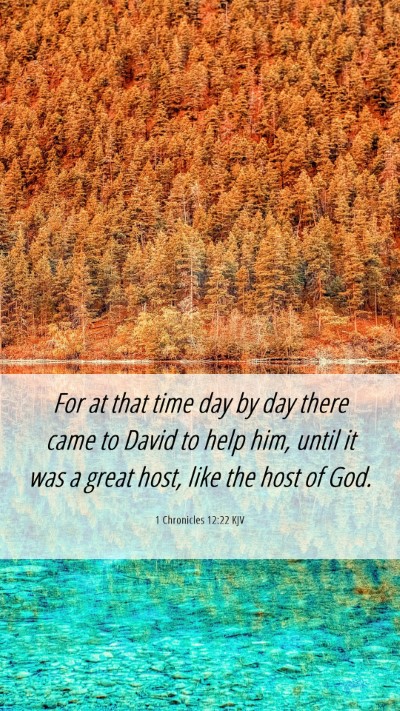 Picture 06 - 1 Chronicles 12:22 KJV Mobile Phone Wallpaper - For at that time day by day there came to David - Mobile Bible Verse Wallpaper
