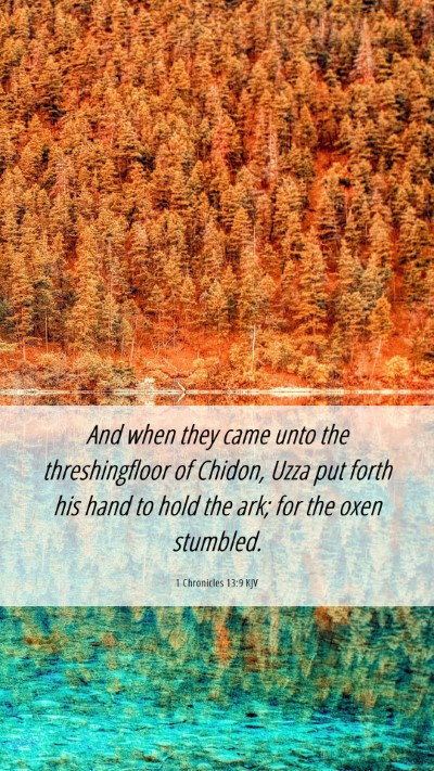 Picture 06 - 1 Chronicles 13:9 KJV Mobile Phone Wallpaper - And when they came unto the threshingfloor of - Mobile Bible Verse Wallpaper