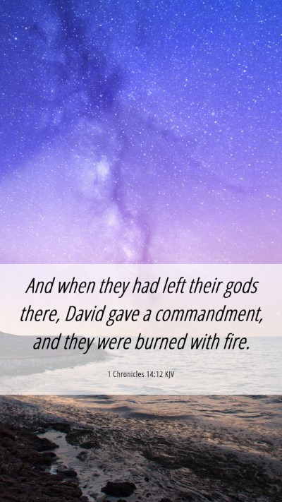 Picture 06 - 1 Chronicles 14:12 KJV Mobile Phone Wallpaper - And when they had left their gods there, David - Mobile Bible Verse Wallpaper
