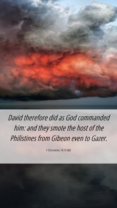Picture 06 - 1 Chronicles 14:16 KJV Mobile Phone Wallpaper - David therefore did as God commanded him: and - Mobile Bible Verse Wallpaper
