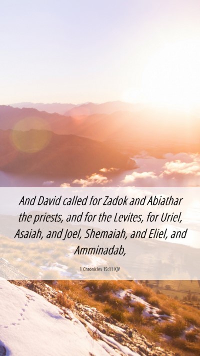 Picture 06 - 1 Chronicles 15:11 KJV Mobile Phone Wallpaper - And David called for Zadok and Abiathar the - Mobile Bible Verse Wallpaper