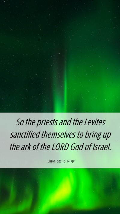 Picture 06 - 1 Chronicles 15:14 KJV Mobile Phone Wallpaper - So the priests and the Levites sanctified - Mobile Bible Verse Wallpaper