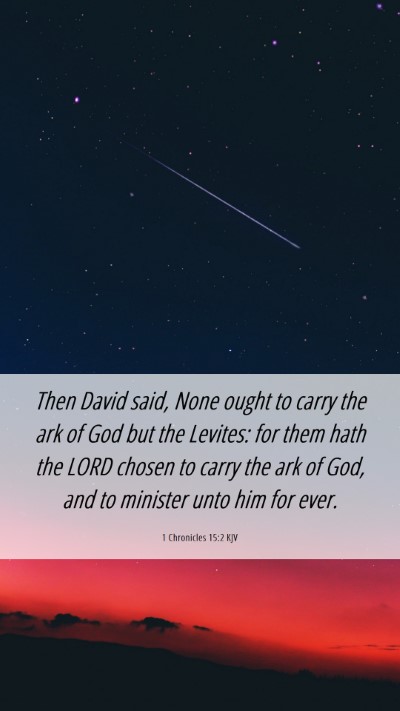 Picture 06 - 1 Chronicles 15:2 KJV Mobile Phone Wallpaper - Then David said, None ought to carry the ark of - Mobile Bible Verse Wallpaper