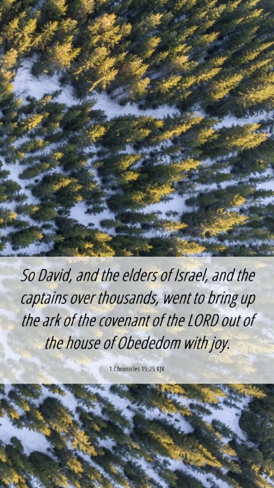 Picture 06 - 1 Chronicles 15:25 KJV Mobile Phone Wallpaper - So David, and the elders of Israel, and the - Mobile Bible Verse Wallpaper