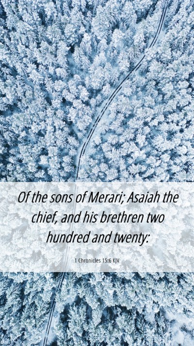 Picture 06 - 1 Chronicles 15:6 KJV Mobile Phone Wallpaper - Of the sons of Merari; Asaiah the chief, and his - Mobile Bible Verse Wallpaper