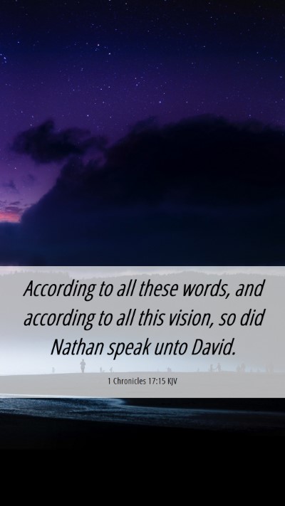Picture 06 - 1 Chronicles 17:15 KJV Mobile Phone Wallpaper - According to all these words, and according to - Mobile Bible Verse Wallpaper