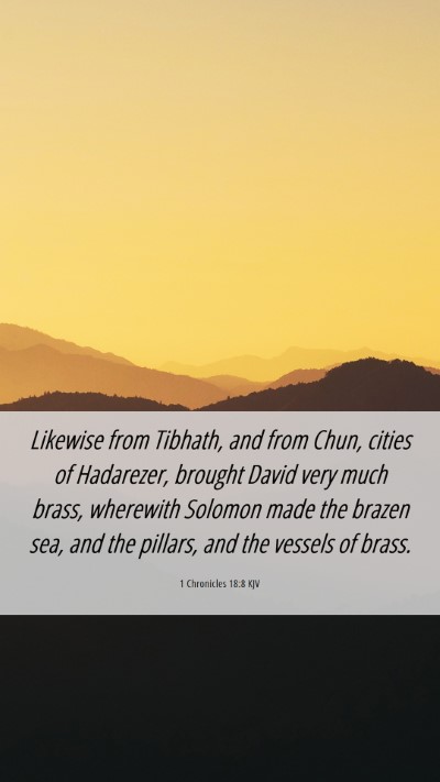 Picture 06 - 1 Chronicles 18:8 KJV Mobile Phone Wallpaper - Likewise from Tibhath, and from Chun, cities of - Mobile Bible Verse Wallpaper