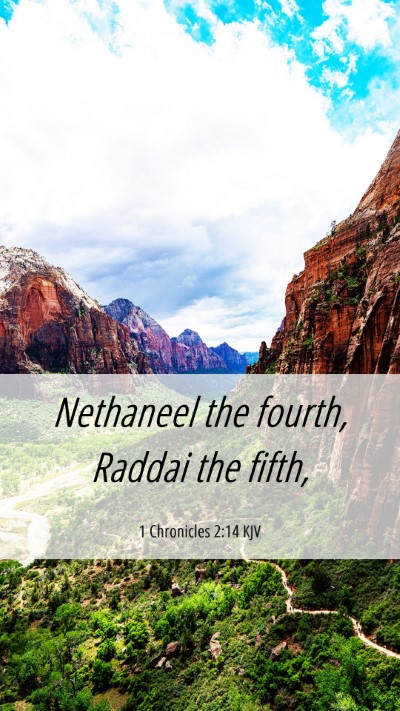 Picture 06 - 1 Chronicles 2:14 KJV Mobile Phone Wallpaper - Nethaneel the fourth, Raddai the - Mobile Bible Verse Wallpaper