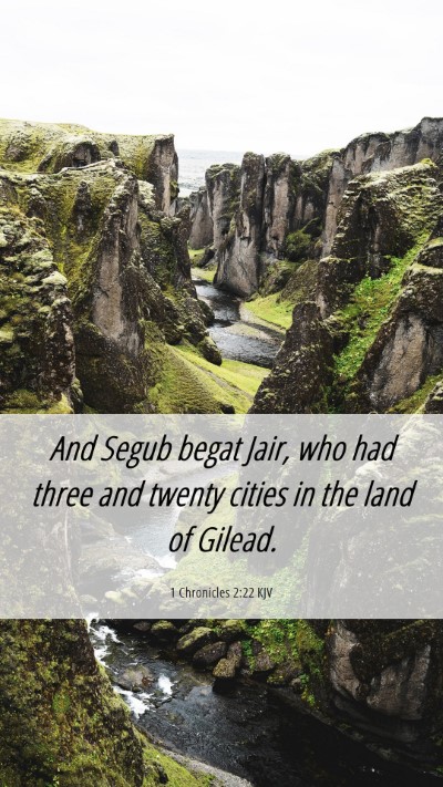 Picture 06 - 1 Chronicles 2:22 KJV Mobile Phone Wallpaper - And Segub begat Jair, who had three and twenty - Mobile Bible Verse Wallpaper