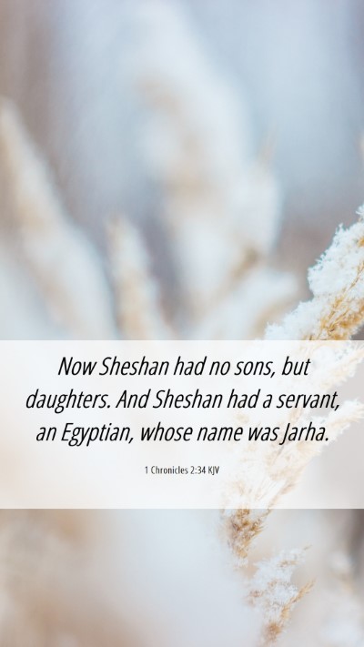 Picture 06 - 1 Chronicles 2:34 KJV Mobile Phone Wallpaper - Now Sheshan had no sons, but daughters. And - Mobile Bible Verse Wallpaper
