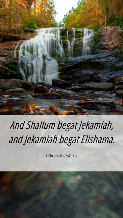 Picture 06 - 1 Chronicles 2:41 KJV Mobile Phone Wallpaper - And Shallum begat Jekamiah, and Jekamiah begat - Mobile Bible Verse Wallpaper