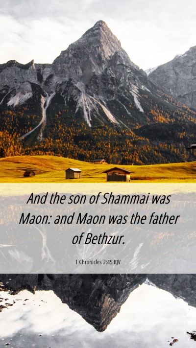 Picture 06 - 1 Chronicles 2:45 KJV Mobile Phone Wallpaper - And the son of Shammai was Maon: and Maon was the - Mobile Bible Verse Wallpaper