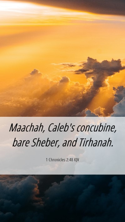 Picture 06 - 1 Chronicles 2:48 KJV Mobile Phone Wallpaper - Maachah, Caleb's concubine, bare Sheber, and - Mobile Bible Verse Wallpaper