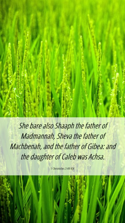 Picture 06 - 1 Chronicles 2:49 KJV Mobile Phone Wallpaper - She bare also Shaaph the father of Madmannah, - Mobile Bible Verse Wallpaper