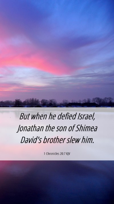 Picture 06 - 1 Chronicles 20:7 KJV Mobile Phone Wallpaper - But when he defied Israel, Jonathan the son of - Mobile Bible Verse Wallpaper