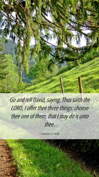 Picture 06 - 1 Chronicles 21:10 KJV Mobile Phone Wallpaper - Go and tell David, saying, Thus saith the LORD, I - Mobile Bible Verse Wallpaper