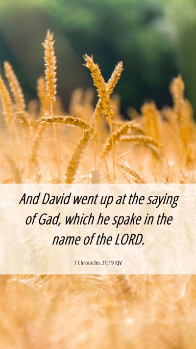 Picture 06 - 1 Chronicles 21:19 KJV Mobile Phone Wallpaper - And David went up at the saying of Gad, which he - Mobile Bible Verse Wallpaper