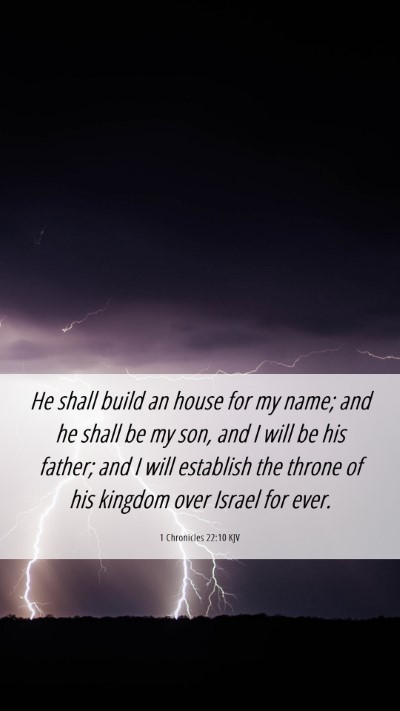 Picture 06 - 1 Chronicles 22:10 KJV Mobile Phone Wallpaper - He shall build an house for my name; and he shall - Mobile Bible Verse Wallpaper