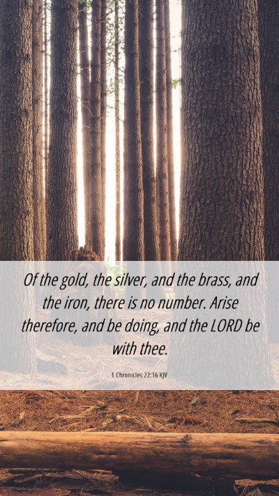Picture 06 - 1 Chronicles 22:16 KJV Mobile Phone Wallpaper - Of the gold, the silver, and the brass, and the - Mobile Bible Verse Wallpaper