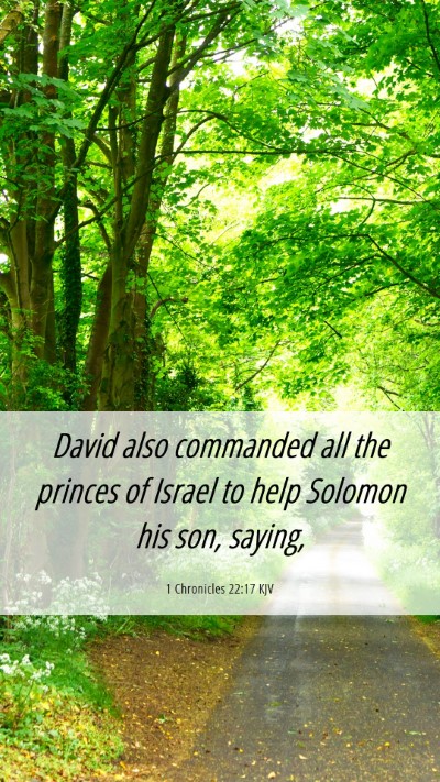 Picture 06 - 1 Chronicles 22:17 KJV Mobile Phone Wallpaper - David also commanded all the princes of Israel to - Mobile Bible Verse Wallpaper