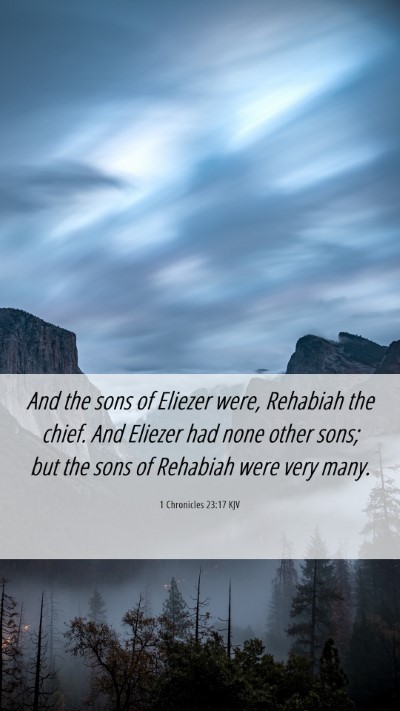 Picture 06 - 1 Chronicles 23:17 KJV Mobile Phone Wallpaper - And the sons of Eliezer were, Rehabiah the chief. - Mobile Bible Verse Wallpaper
