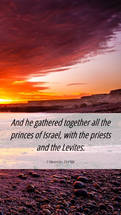 Picture 06 - 1 Chronicles 23:2 KJV Mobile Phone Wallpaper - And he gathered together all the princes of - Mobile Bible Verse Wallpaper