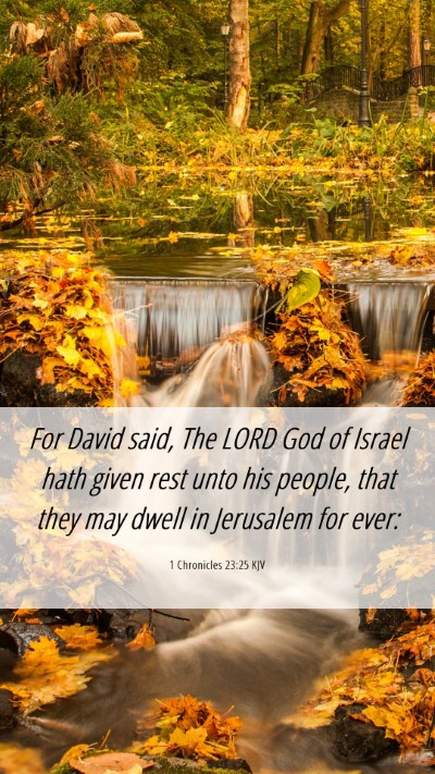 Picture 06 - 1 Chronicles 23:25 KJV Mobile Phone Wallpaper - For David said, The LORD God of Israel hath given - Mobile Bible Verse Wallpaper