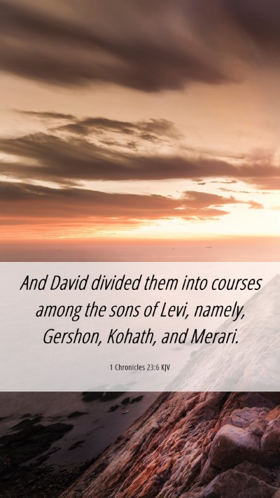 Picture 06 - 1 Chronicles 23:6 KJV Mobile Phone Wallpaper - And David divided them into courses among the - Mobile Bible Verse Wallpaper