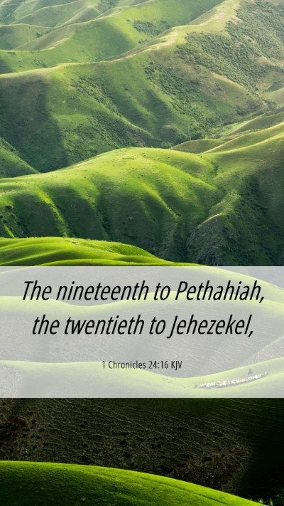 Picture 06 - 1 Chronicles 24:16 KJV Mobile Phone Wallpaper - The nineteenth to Pethahiah, the twentieth to - Mobile Bible Verse Wallpaper