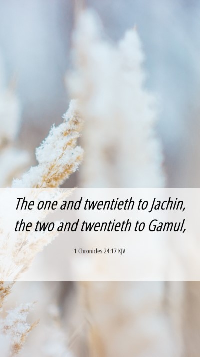 Picture 06 - 1 Chronicles 24:17 KJV Mobile Phone Wallpaper - The one and twentieth to Jachin, the two and - Mobile Bible Verse Wallpaper